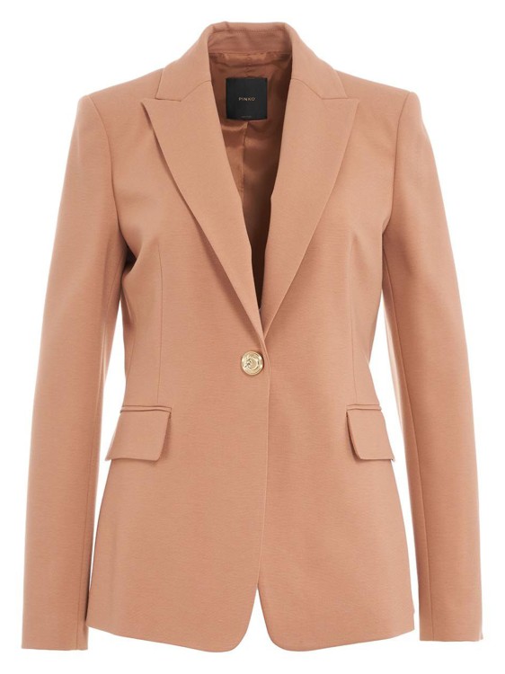 Pinko Signum Peak Lapel Blazer In Brown