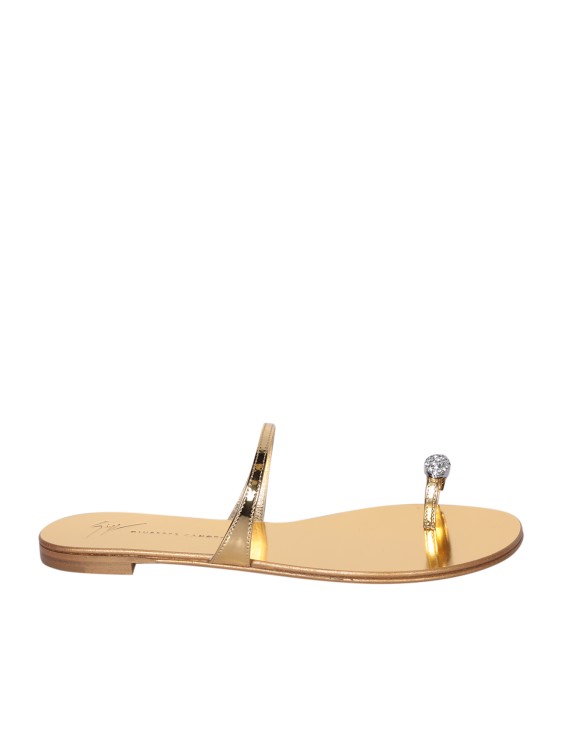 Shop Giuseppe Zanotti Flat Sandals In Gold
