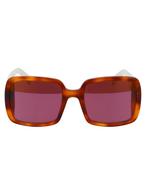 Shop Marni Me633s In Brown