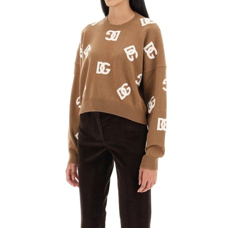 Shop Dolce & Gabbana Dg Ribbed Pullover In Brown