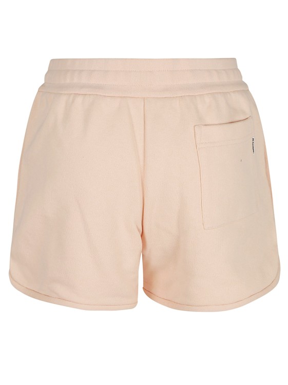 Shop Jil Sander Pure Cotton Shorts In Pink