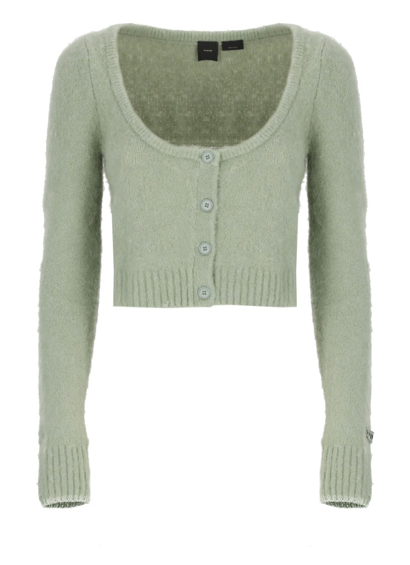 Pinko Colorpoint Cardigan In Green