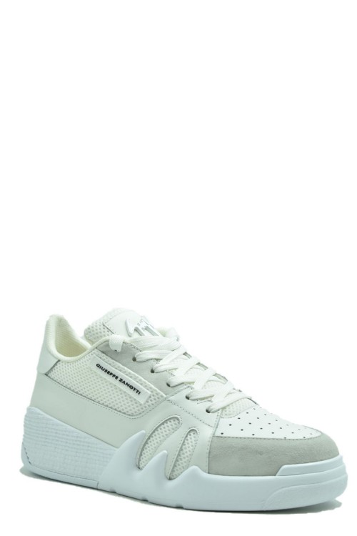 Shop Giuseppe Zanotti Lace-up Sneakers In Green