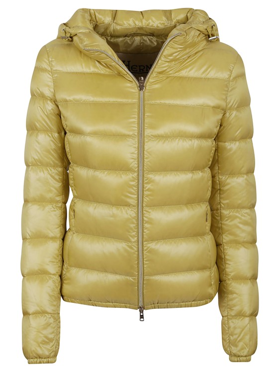 Shop Herno Canary Yellow Down Jacket In Green