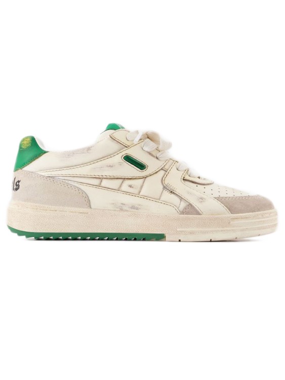 Shop Palm Angels University Origin Sneakers  - Green - Leather In White