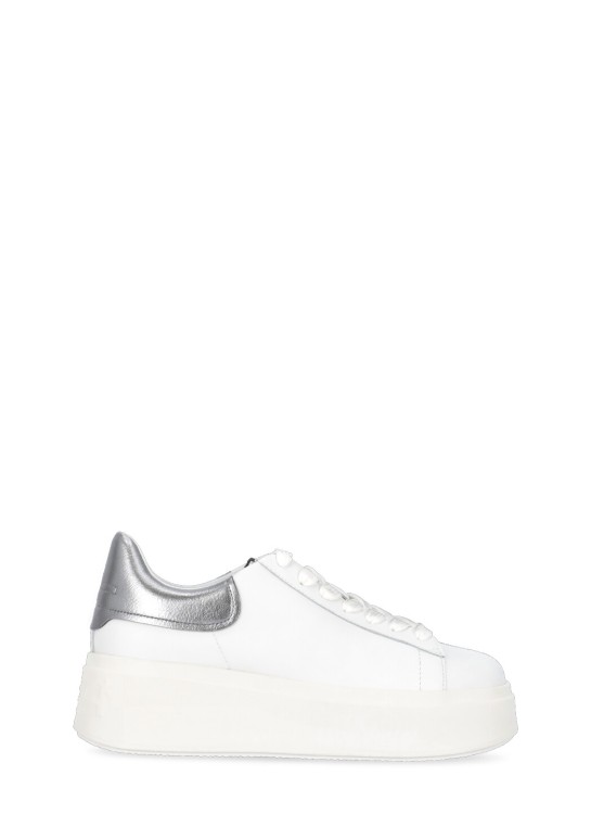 Ash Moby Sneakers In White