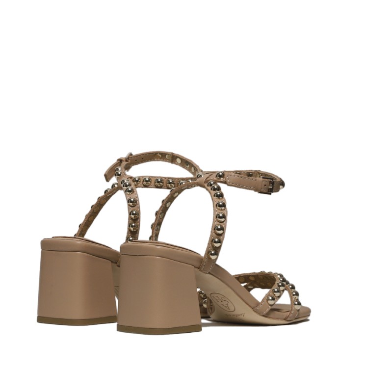 Ash Sandal In Beige Leather With Golden Studs In Brown