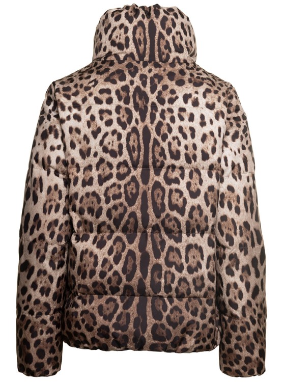 Shop Dolce & Gabbana Brown Down Jacket With High-neck With All-over Leo Print In Nylon