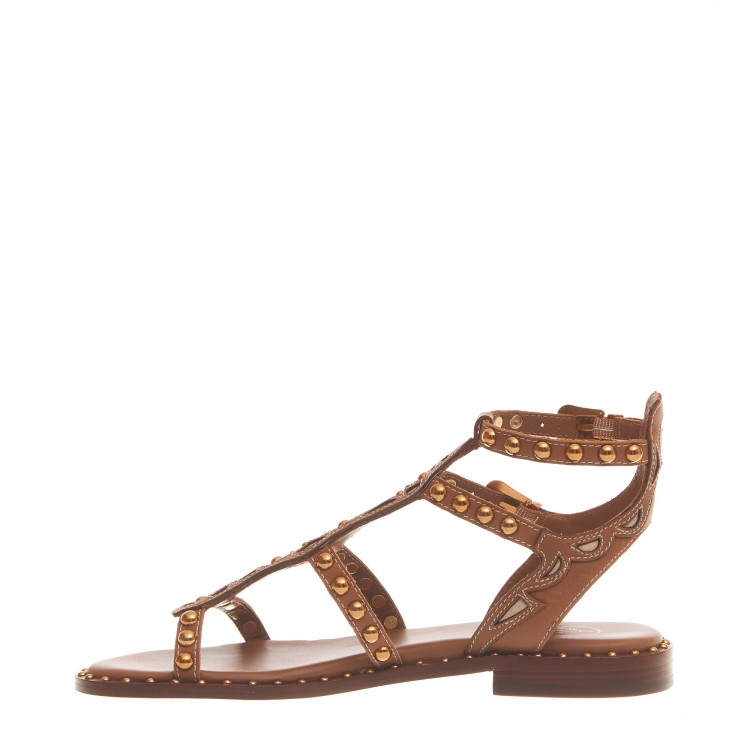 Shop Ash Leather Sandal With Gold Studs In Brown