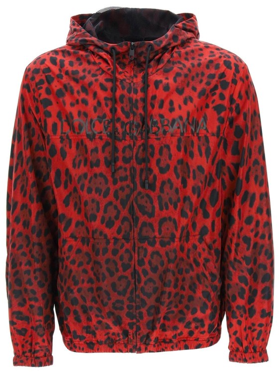 Shop Dolce & Gabbana Windbreaker Jacket In Neutrals