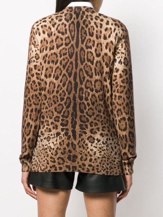 Shop Dolce & Gabbana Animal Print Sweater In Brown