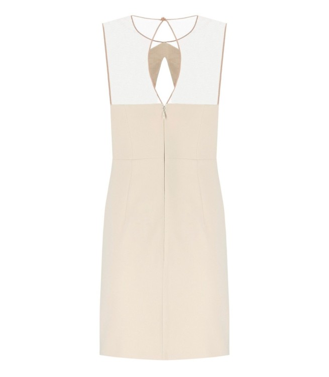 Shop Elisabetta Franchi Butter Dress With Tulle In Neutrals