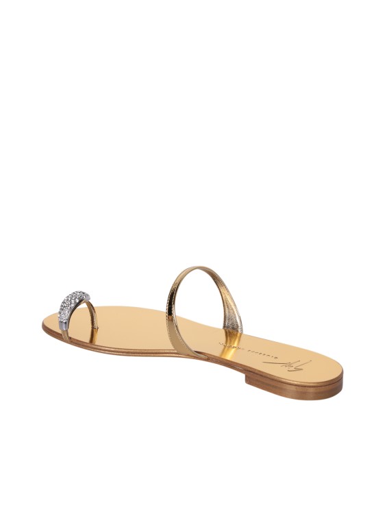 Shop Giuseppe Zanotti Flat Sandals In Gold