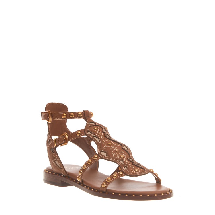 Shop Ash Leather Sandal With Gold Studs In Brown