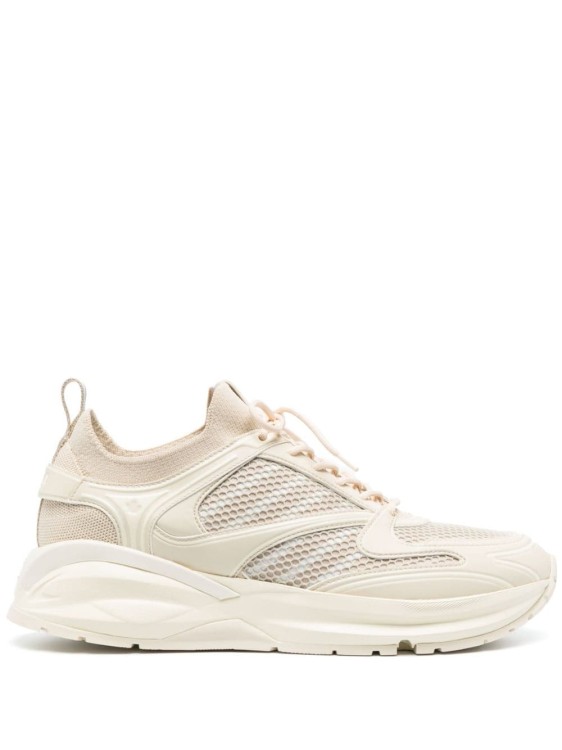 Dsquared2 Neutral Dash Low-top Sneakers In Neutrals