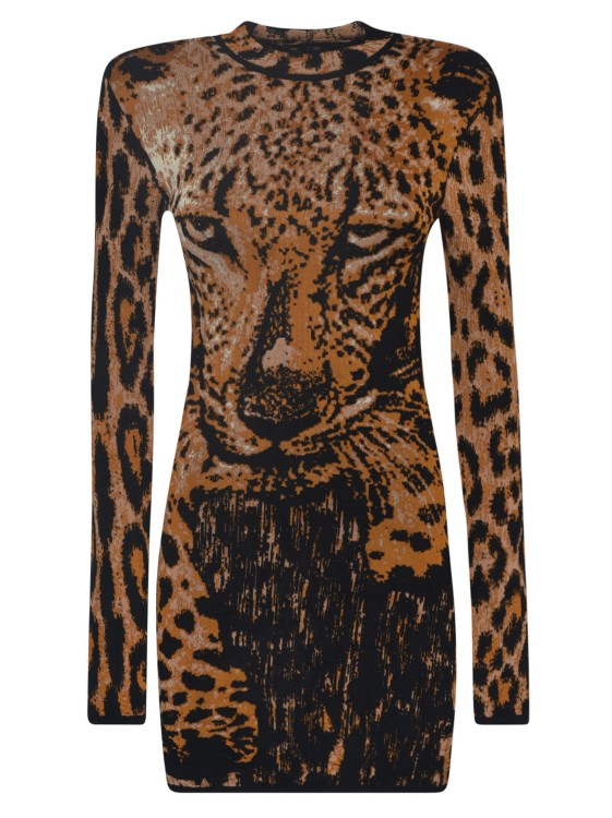 Roberto Cavalli Leopard Print Dress In Black