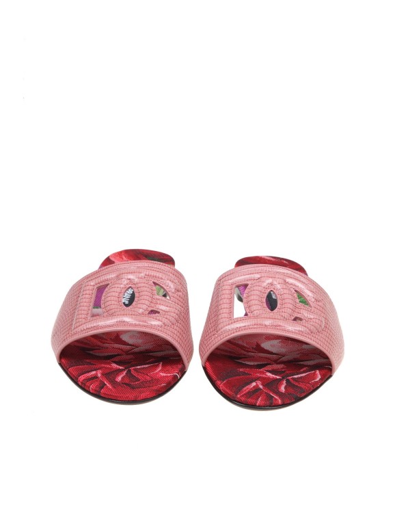 Shop Dolce & Gabbana Leather Mules In Pink