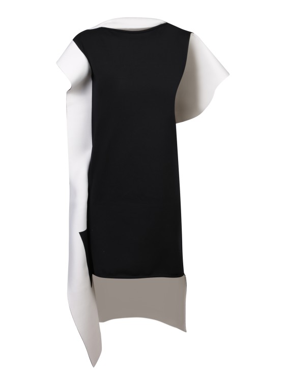 Shop Issey Miyake Shaped Canvas Dress In Black