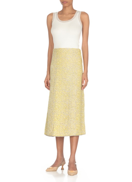 Shop Fabiana Filippi Skirt With Lurex Details In Yellow