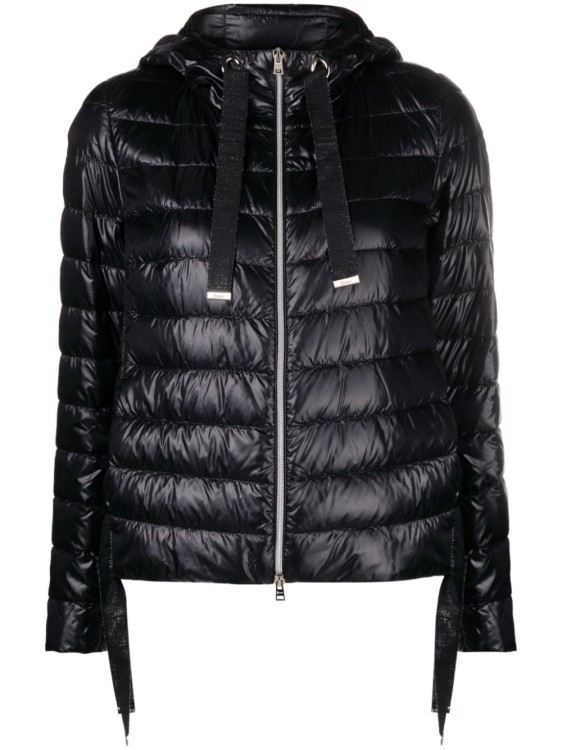 Shop Herno Black Padded Jacket