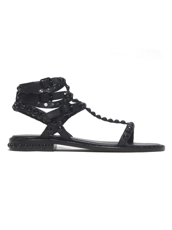 Shop Ash Play Bis Model Sandal With Black Leather Straps