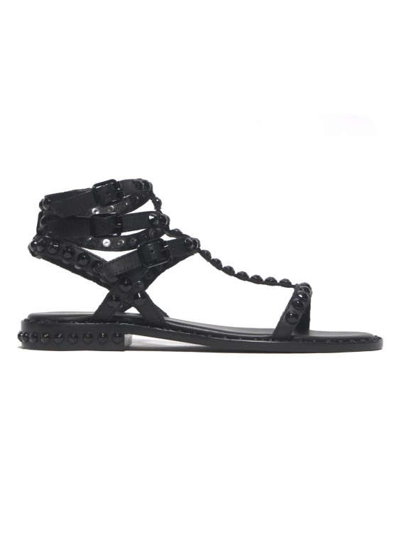 Ash Play Bis Model Sandal With Black Leather Straps In Black