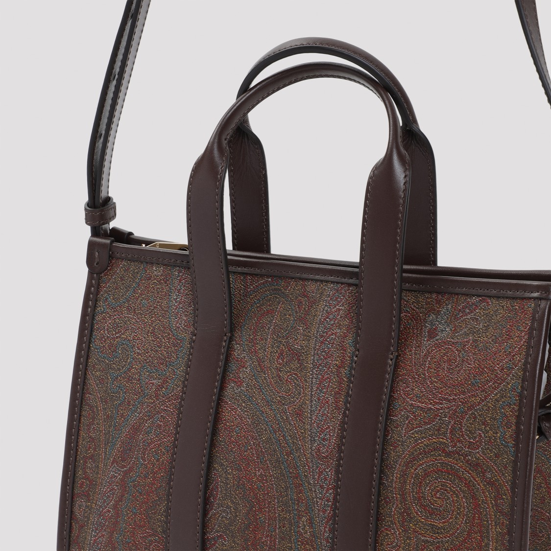 Etro Handbag In Brown