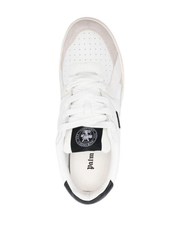 Shop Palm Angels University Low-top Sneakers In Neutrals