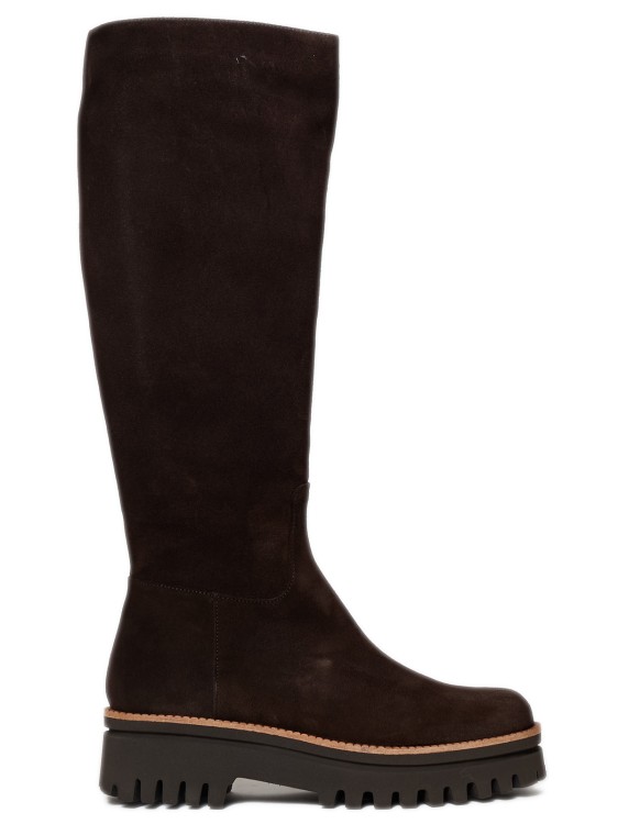 Paloma Barceló Side Zip Ankle Boots In Brown