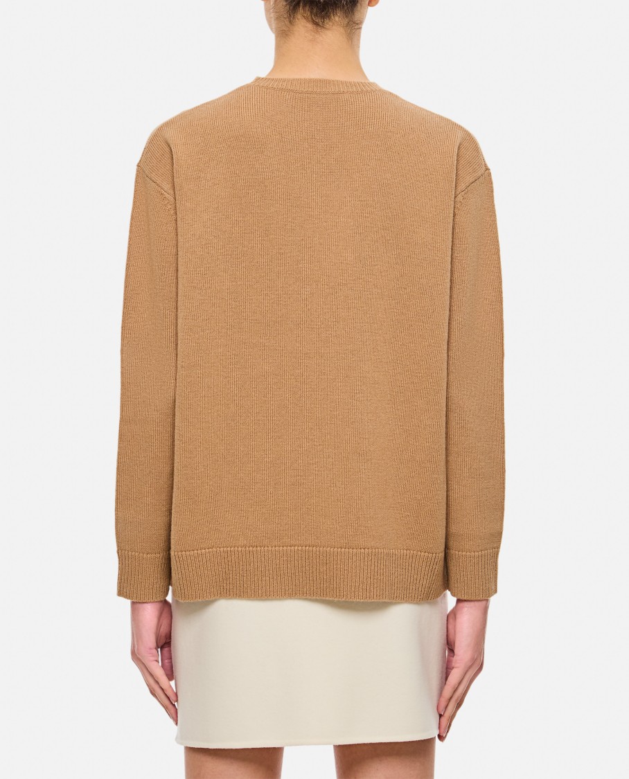 Max Mara Maxmara Women 1951 Sequin Embroidery Pullover In Brown
