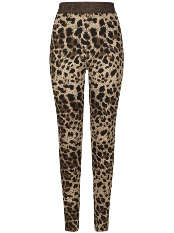 Dolce & Gabbana Logo-waistband Leopard-print Leggings In Black