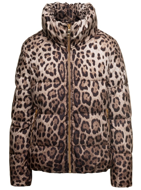 Dolce & Gabbana Brown Down Jacket With High-neck With All-over Leo Print In Nylon