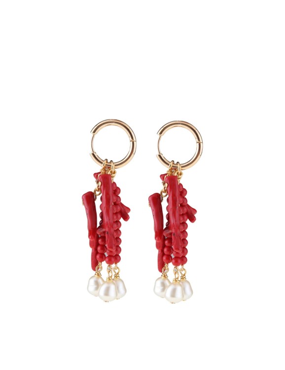 Dolce & Gabbana Dolce And Gabbana Earrings With Coral Branches In Not Applicable