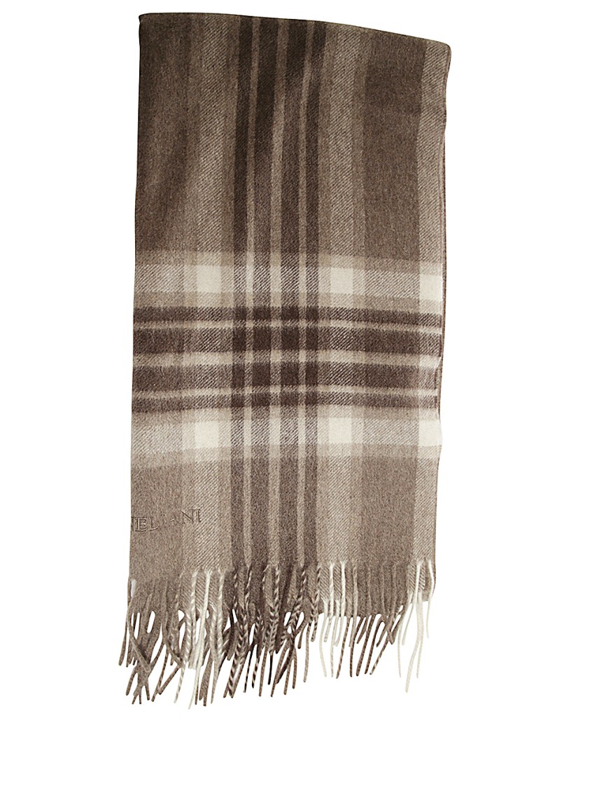 Corneliani Scarfs In Brown