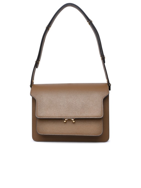 Shop Marni Trunk Bag In Brown Leather In Pink