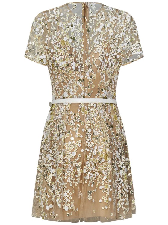Shop Elie Saab Short Dress In Transparent Tulle In Neutrals