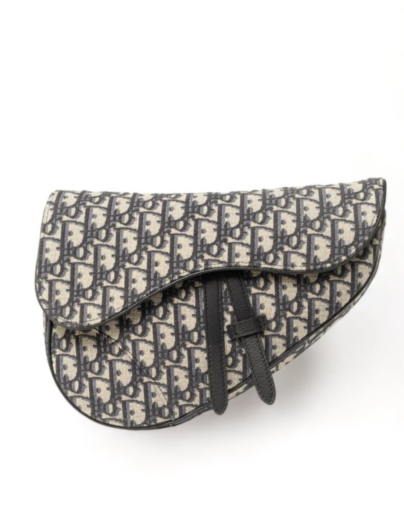 Dior Saddle Belt Bag Oblique Blue In Grey