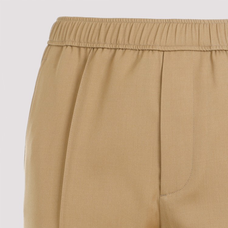 Shop Lanvin Brown Desert Wool Tapered Elasticated Trousers In Neutrals
