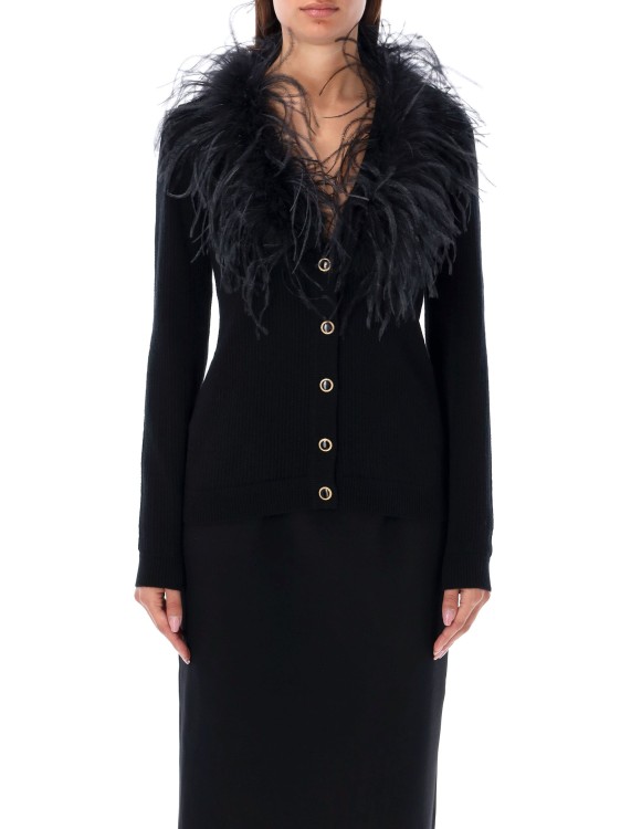 Alessandra Rich Feather Trim V-neck Knitwear In Black