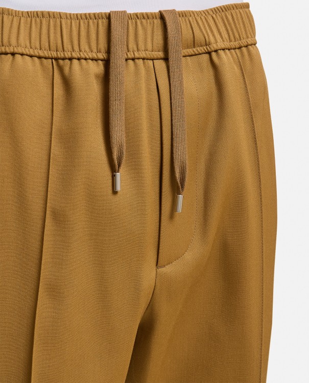 Shop Lanvin Wool Trousers In Brown