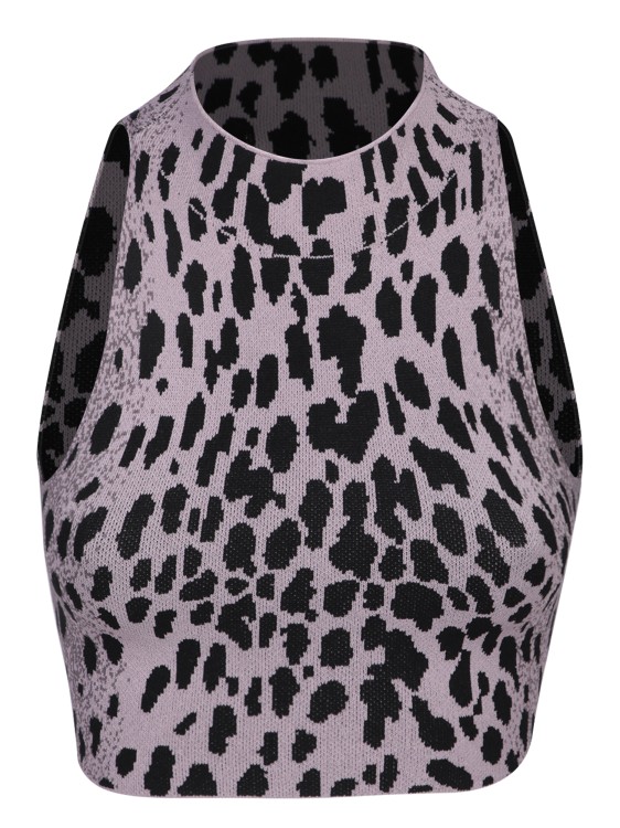 Shop Ssheena Knit Crop Top In Leopard Print In Grey