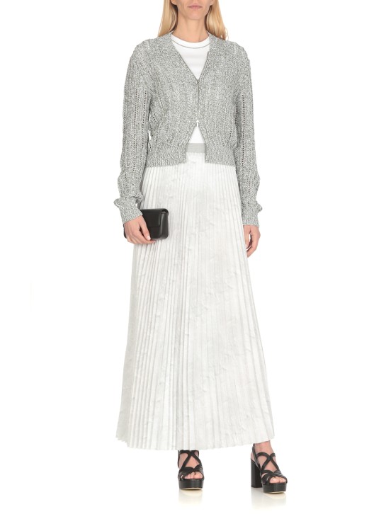 Shop Peserico Grey Skirt