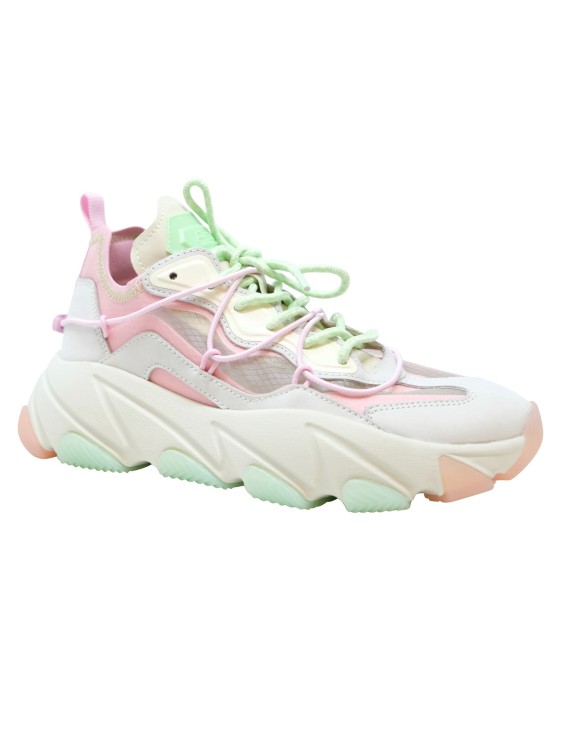 Shop Ash Rose/green Leather Extrabis05 Sneakers In Multicolor
