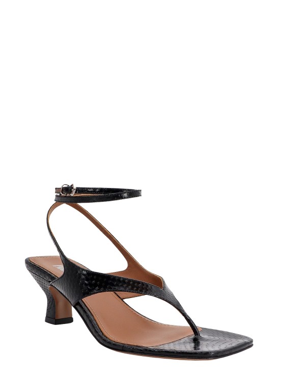 Shop Paris Texas Leather Sandals With Ayers Effect In Black