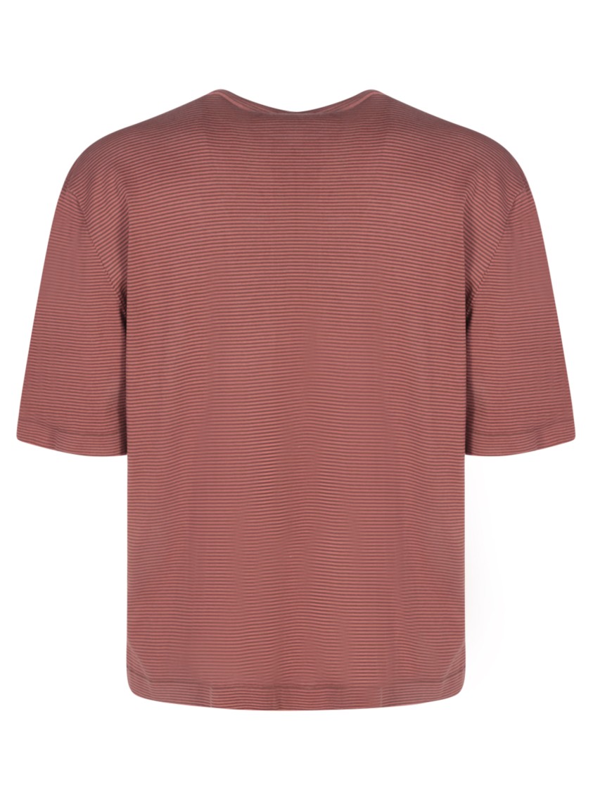 Lardini Cotton T-shirt With Round Neck And Short Sleeves In Pink