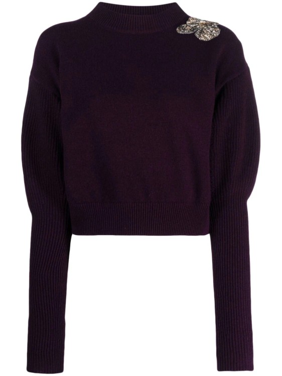 Alexander Mcqueen Burgundy Sweater In Black
