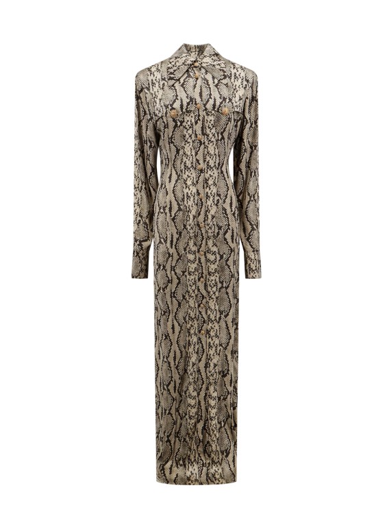 Shop Balmain Viscose Chemisier Dress With Python Print In Grey
