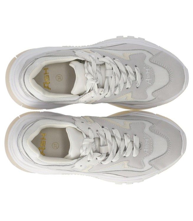 Shop Ash Addict White Sneaker In Grey