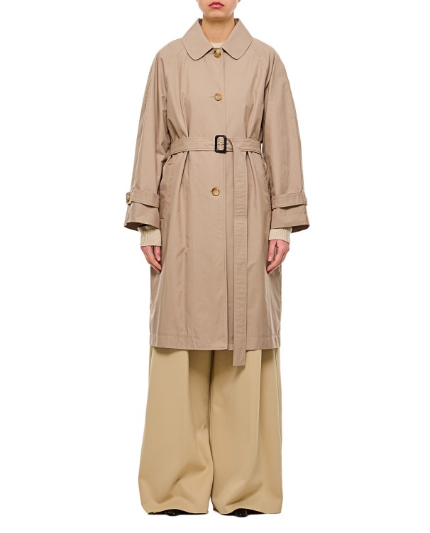 Max Mara Ftrench Single Breasted Coat In Brown