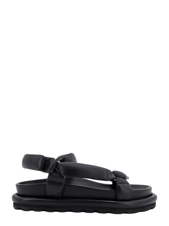 Shop Jil Sander Padded Leather Sandals In Black